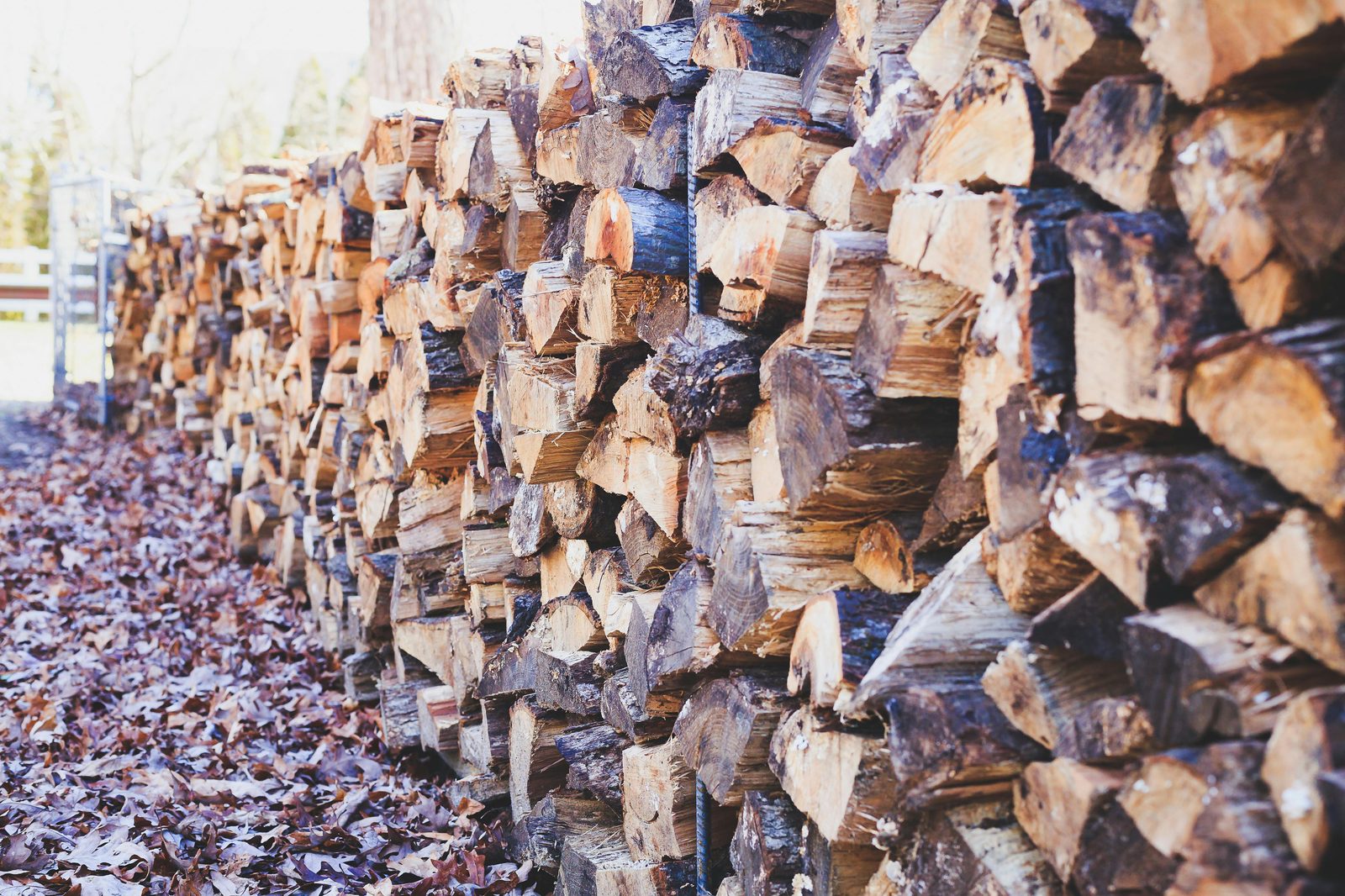 Stacked hardwood logs supplied by J&S Brown